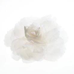 Poirier HT-201-Ivory Bloem